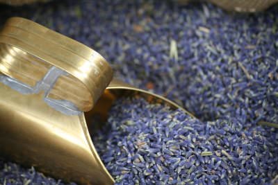 Lavendel Lunavit Ätherisches Öl "Lavendel"